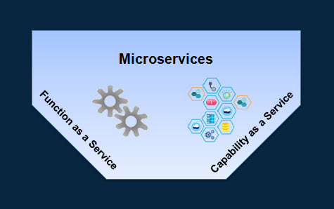 Microservices: Capability as a Service versus Function as a Service
